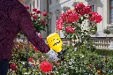 mesto_3132GR_360grad_d.webp