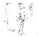 mesto_3270W_HS(1).webp
