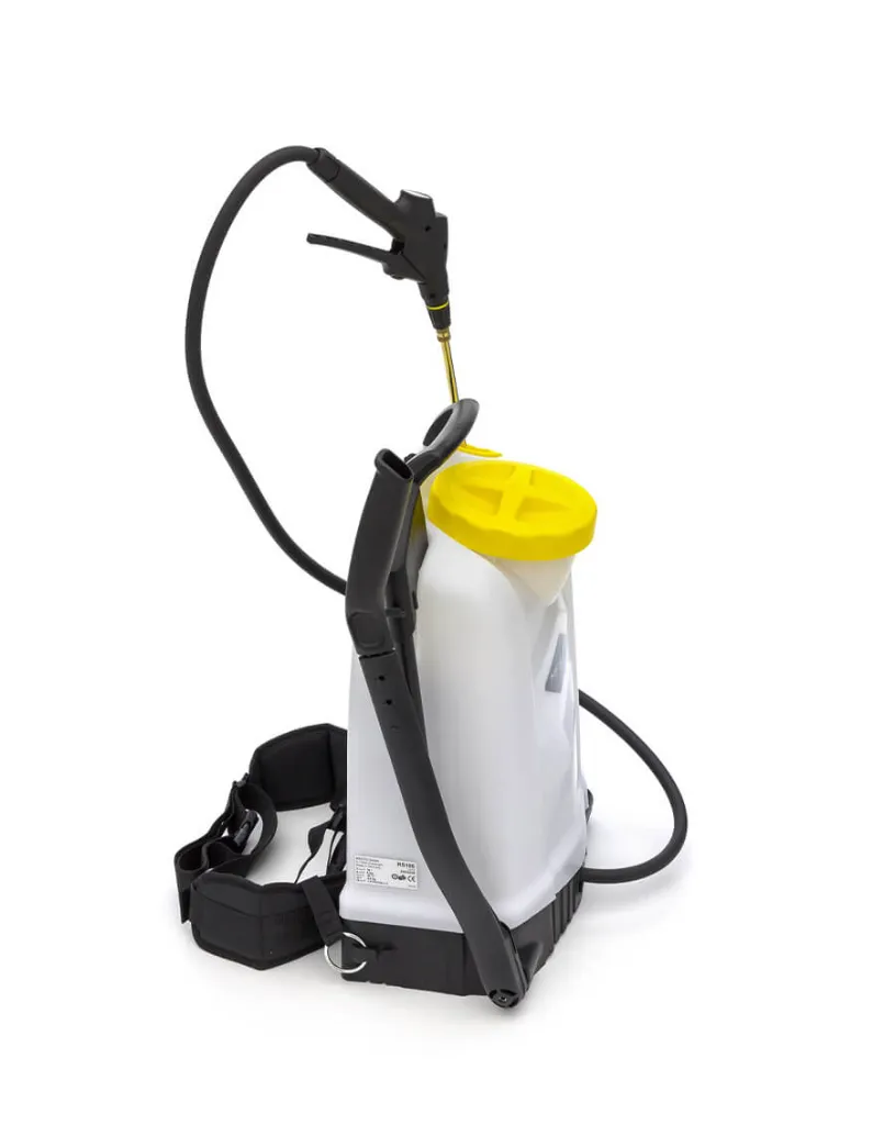 29.webp